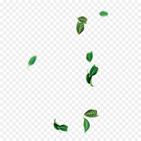 Grass leaves effect falling leaves effect hotel hideaway neem leaves effect on hair hibiscus leaves effect on hair leaves text effect in photoshop leaves with immediate effect papaya leaves side effects in hindi mint leaves laxative effect lotus leaves effect mint leaves effect on liver leaving effect meaning. Daun, Hijau, Pohon gambar png