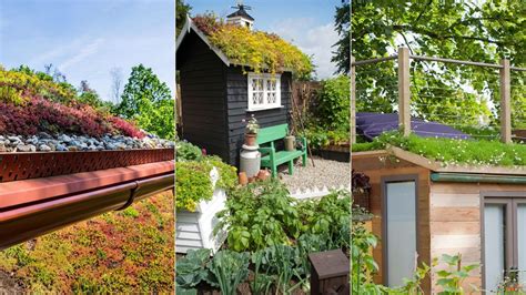 Green Roofs An Expert Guide To Growing A Living Roof Homes And Gardens
