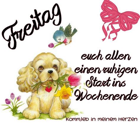 Er war sehr glücklich und nahm das angebot an. Guten Start Ins Wochenende Lustig - Best New Trends and ...