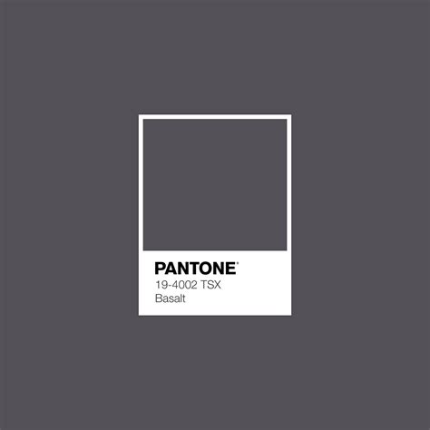 Pantone 19 4002 Tsx Basalt Color Swatch Em 2023 Paleta De Cores