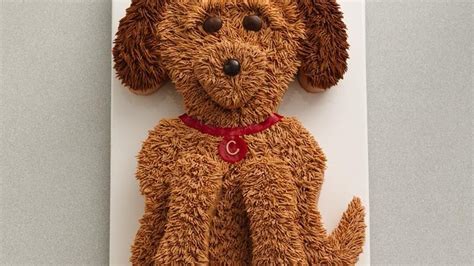 He was a fussy eater, but was trying new things at last. Cute Golden Doodle Dog Cake recipe from Betty Crocker