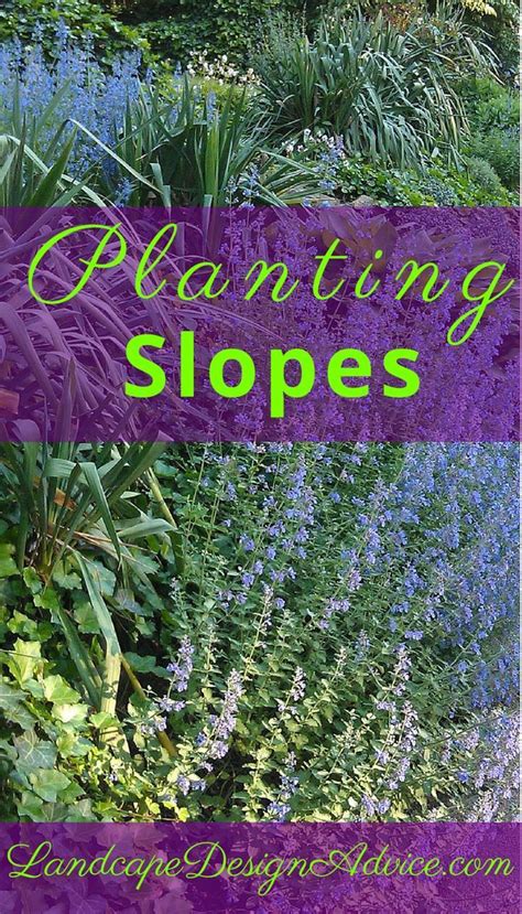 The most effective way to do this would be to choose plants which are adapted to the climate of your garden. Planting a slope successfully can be done. Use drought ...
