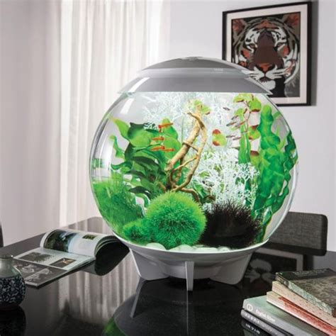 The Ultimate Guide To Modern Contemporary Fish Tanks With Big Style