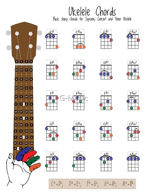 Ukulele Chords Chart Fingering Diagram For Beginners Premium Matte Vertical Poster Sold By