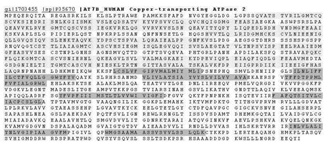 Schematic Representation Of Key Features Of Atp7b Protein General