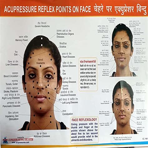 ancs acupressure face chart health and personal care