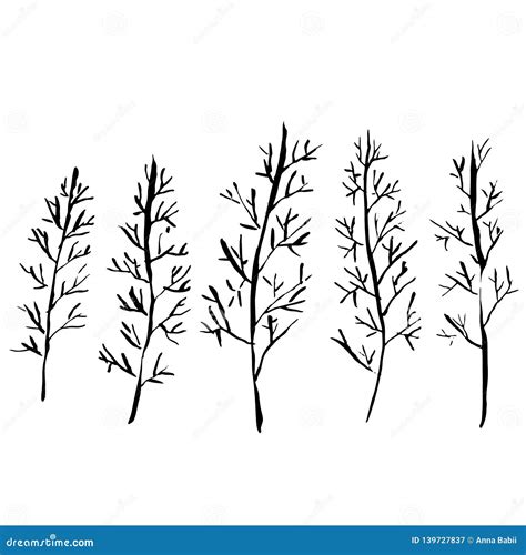 Naked Trees Silhouettes Hand Drawn Set Vector Illustration Stock Vector Illustration Of