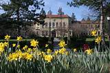 Oregon State University Online Bachelors