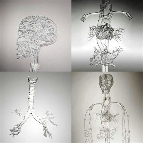 The Human Body In Glass Gym Mirrors Anatomy Sculpture Mosaic Art Projects Wall Lights