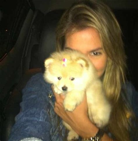 Bafão • karol conká cancelada ao assediar lucas arcrebiano • beijo • bbb21 • big brother brasil. EGO - Cachorro da ex-BBB Adriana custou R$ 3.500 e foi um ...