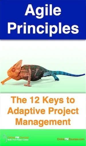 Agile Principles The 12 Keys To Adaptive Project Management