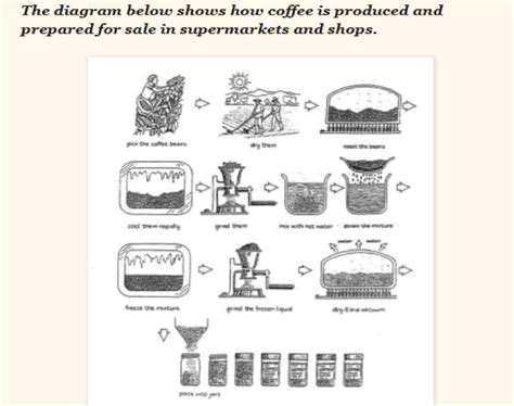 How Coffee Is Produced Ad Prepared For Sale Ielts Process Question