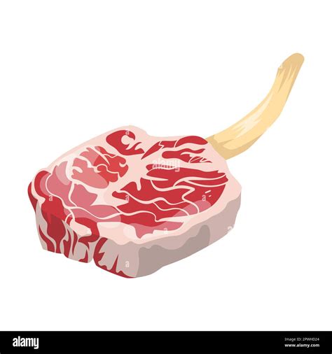 Carne Cruda En El Hueso Ilustración Vectorial De Dibujos Animados