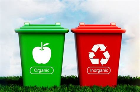 Perbedaan Sampah Organik Dan Anorganik Disertai Dengan Contohnya Sonora Id