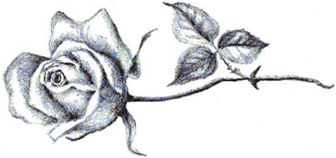 Abstract brown rose shape vintage background. Long Stem Rose Tattoos - Cliparts.co