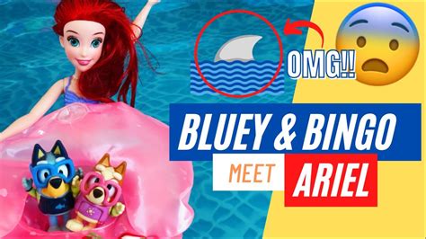 Bluey And Bingo Go Swimming And Meet The Little Mermaid Pretend Play