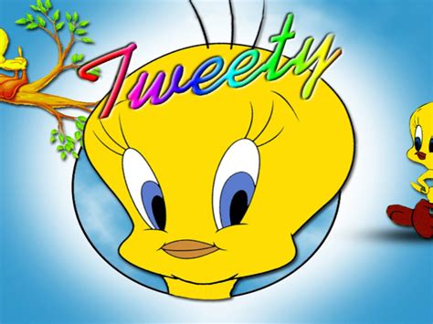 Multiple sizes available for all screen sizes. Tweety Bird Cartoon Hd Wallpapers For Mobile Phones Tablet And Laptop 1920x1200 : Wallpapers13.com