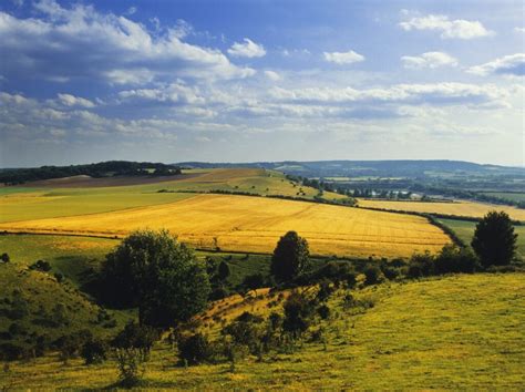 Visiting The Extraordinary Chiltern Hills Of England
