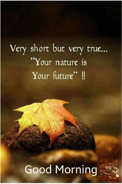 Pin By Thiruvalar Selvi On Good Morning Quotes Fall Foliage
