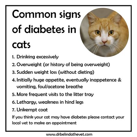 Published by jean marie bauhaus. What are the signs of diabetes in cats