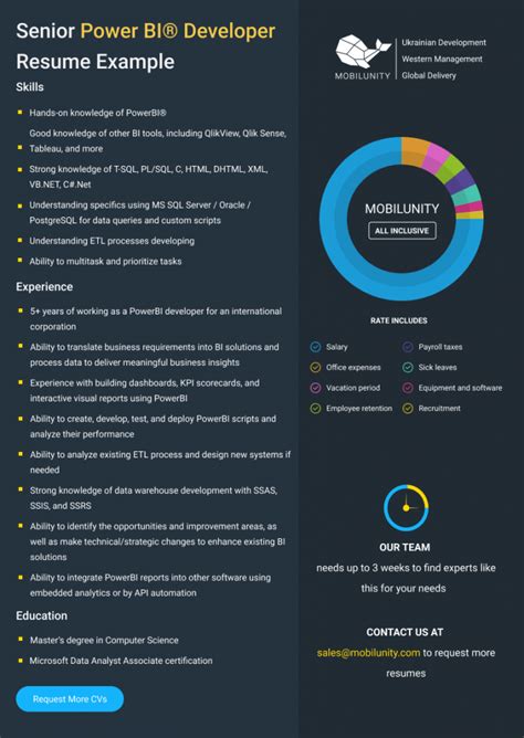 Guide To Finding Ideal Power Bi® Developer Mobilunity
