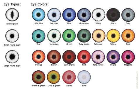 Eye Color Chart Eye Color Chart Eye Color Writing Tips Overview Of