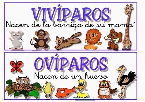 Animales Ovíparos y Vivíparos. - Ciclo Escolar