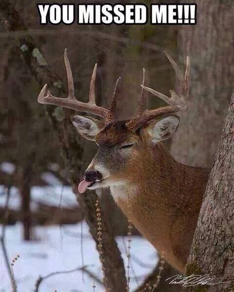 Love It Funny Hunting Pics Deer Hunting Humor Hunting Jokes Funny
