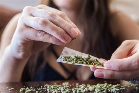 La Dosis Anuncia Unam Taller Sobre Consumo De Marihuana Entregarán Constancia