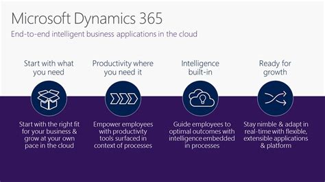 What Is Microsoft Dynamics 365 Get Access To Dynamics 365 Before