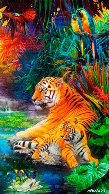 Allen1956s Animated  Animals Beautiful Cute Tigers Big Cats Art