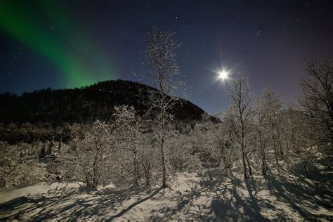 Norway Night Mountain Forest Tree Snow Winter Star Moon