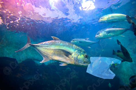 Fish Are Eating Plastic Bags Under The Blue Sea Environmental Stock