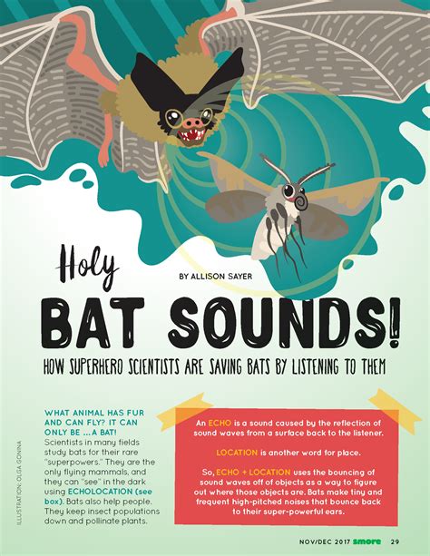 Fun Bat Facts For Kids Smore Science Magazine