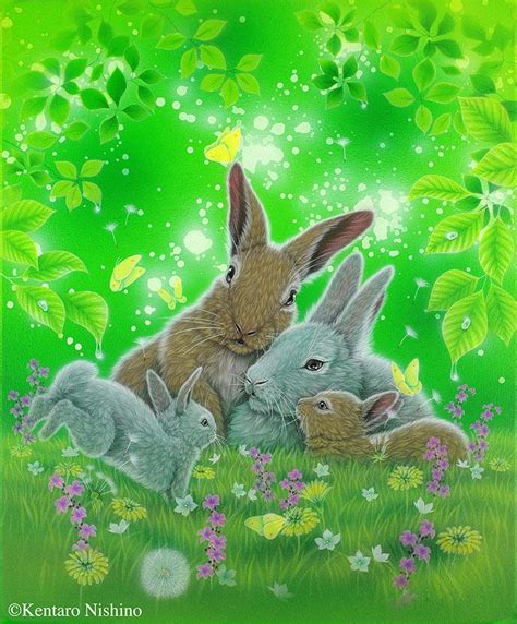 The Art Of Kentaro Nishino Bunny Art Rabbit Art Animal Art