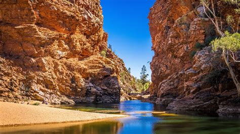 The Top Things To Do And See In Alice Springs