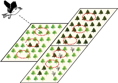 Movement And Ranging Patterns Of The Common Chaffinch In Heterogeneous