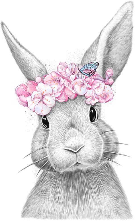 Spring Bunny Art Print By Nikkor X Small Baby Animal Drawings