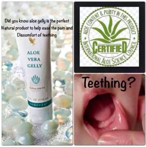 Kebaikan kandungan gel aloe vera adalah ia bersifat antibiotic, antikulat, tidak berwarna, tidak berbau dan dapat menghalang tindakan mikro organisma penyebab penyakit bawaan makanan. For further details message me or to shop online and have ...