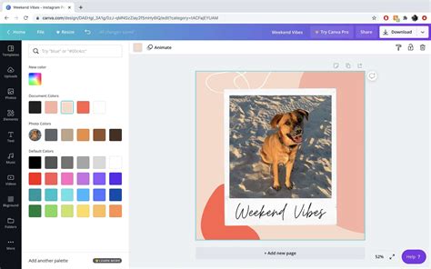 What Is Canva A Guide To The Graphic Design Platforms Features And