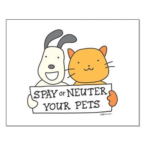 Catchy, rhyming slogans are excellent for sticking in people's heads and. Spaying And Neutering Is Important - The Centennial Talon