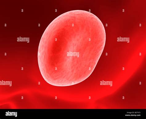 3d Blood Cell Stock Photo Alamy