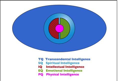 Spiritual Intelligence and the Full Spectrum of Intelligence
