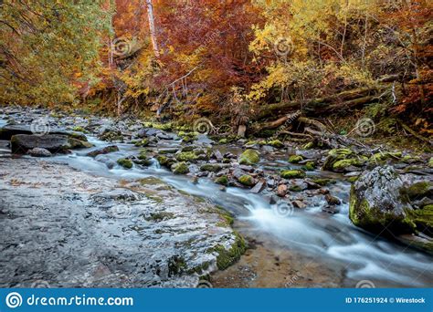 Riverbank In The Autumn With Colorful Trees Stock Photo Image Of