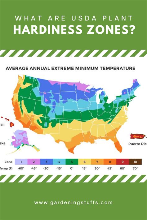 What Are USDA Plant Hardiness Zones?