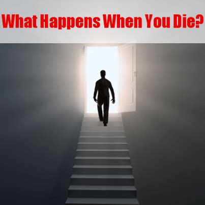 Higgins the cook county medical examiner's office says: Dr Oz: Near Death Experience Similarities & Is Life After ...