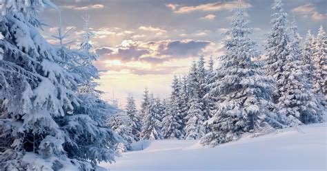 4k Snow Wallpapers High Quality Download Free