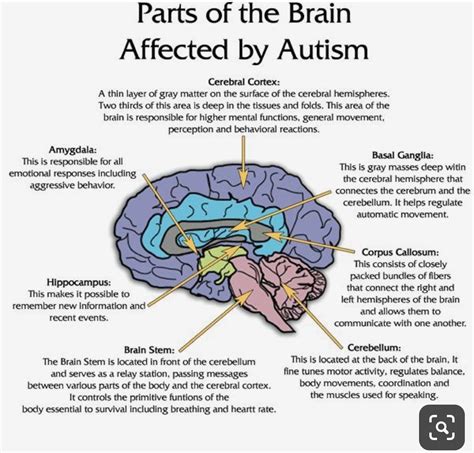 Weak theory of mind—challenges in many ways i see asperger's and psychopathy as opposites. Pin by Sarah Willey on Social skills activities | Autism facts, The autistic brain, Aspergers autism