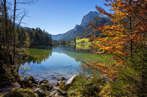 Lake Hintersee In National Park Berchtesgadener Land Bavaria Germany