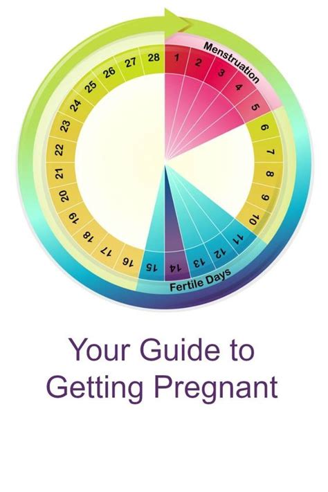 Getting Pregnant Menstrual Cycle Retro Porn Tube